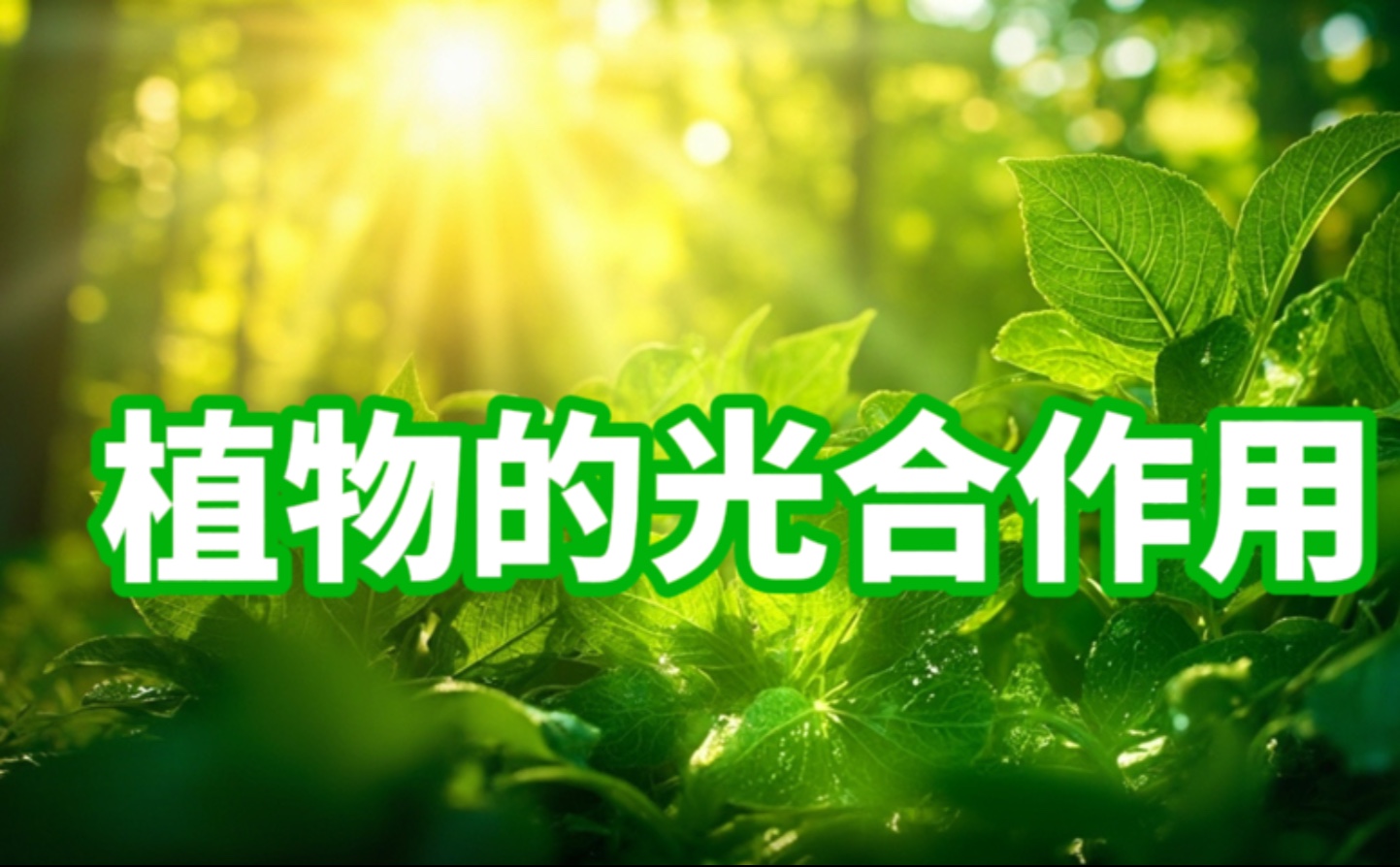 1c047c5472862c628fe775d998c106fa.jpg