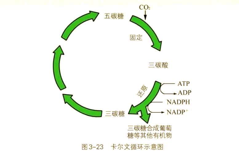 9b4e8cb6394afa1964d75e026f97237f.png